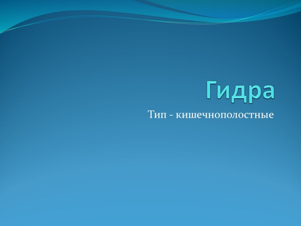 Нарко маркетплейс