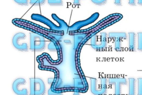Кракен ссылка fo feng crmp ru