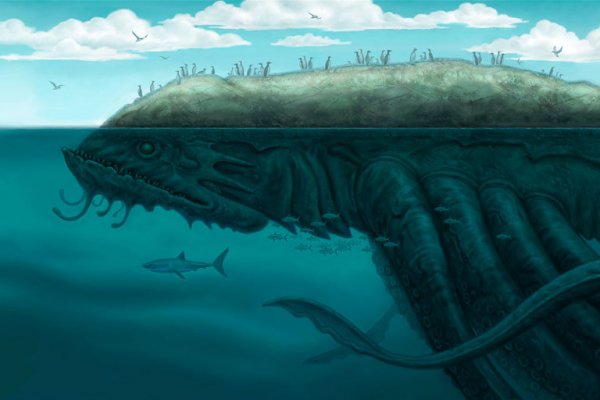Kraken 12 att