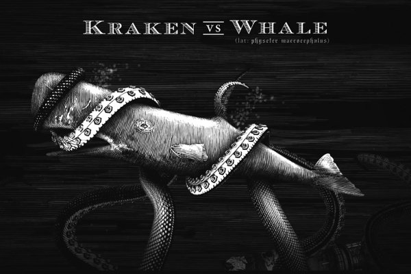 Kraken 20at net