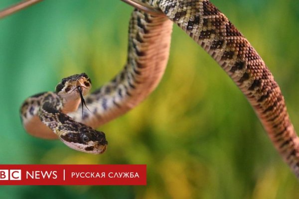 Как подключиться к даркнету