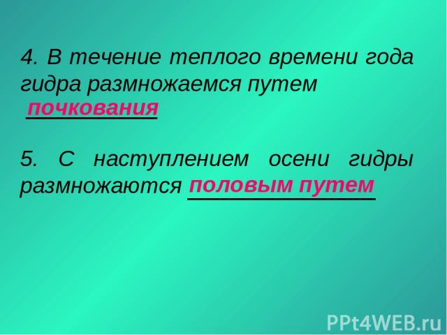 Аналог hydra